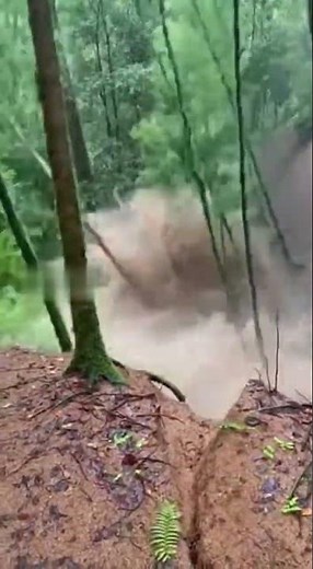 Massive Sinkhole Swallows Rainforest Instantly #disaster #caught #shorts