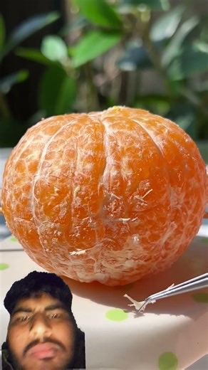 Only 3 Ingrendients！Cat Makes Orange Custard🍊 | Cat Cooking ASMR | Cute Cat TikTok#Shorts