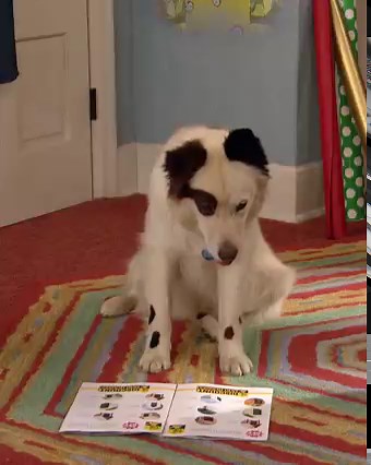 59K views · 2.1K reactions | Definitely important to watch your step in the James-Jennings house  #DogWithABlog #Throwback | Disney Channel | Facebook