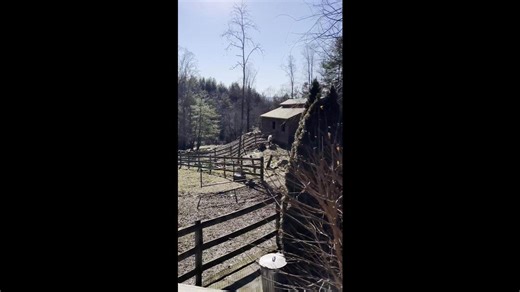 This is the Coziest Cabin Rental near Asheville, North Carolina