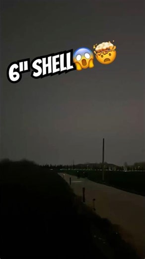 Schlicht aber schön! #shortvideo #fireworks #shell #pyro #pyrotechnica #feuerwerk #firecracker