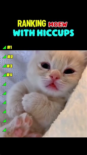 The cuttest hiccups #shorts