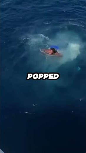 iShowSpeed Does A Backflip Into The Water