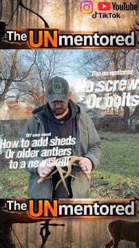 How to mount sheds to a skull (no screws or bolts) #taxidermy