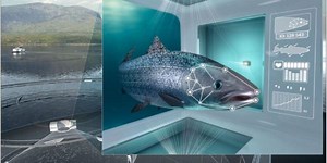 Artificial intelligence to enable individualised fish monitoring in intensive aquaculture