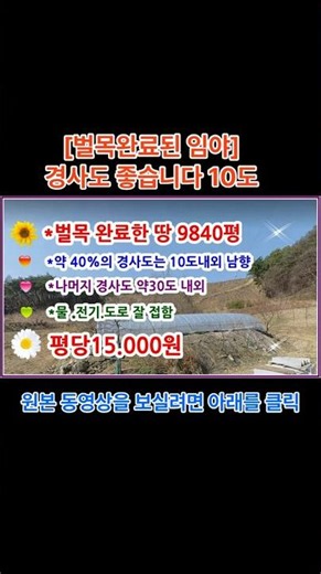 [벌목완료한 임야] 9840평 농림지역+생산관리지역 도로,전기,물 접 임업용산지 준보전산지 경사도 좋네요 굿#shorts
