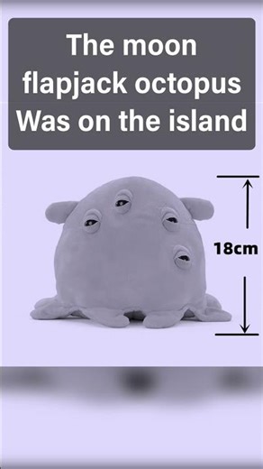 Facts about the moon flapjack octopus #magmaurchin #animals