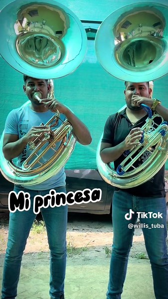 Intros con tuba aver si los conocen #intros #tuba #tuberos @Venegas Tuba