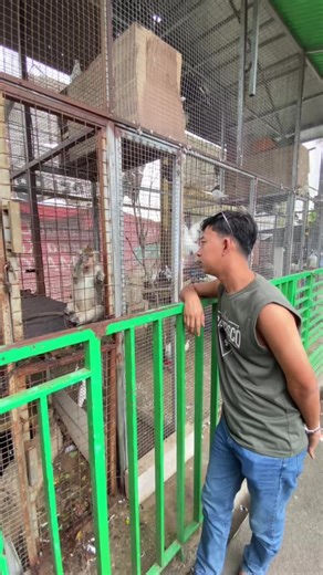 Males due sedulur cuek😴#rdagelan