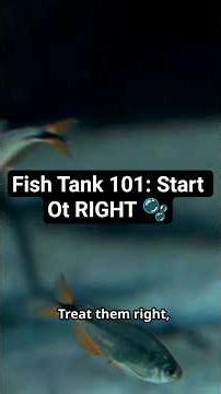 How to Start Your First Aquarium! 🐟 Pet Fish 101 in 60 Seconds #animalfacts #fish #shorts