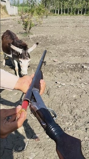 Classic USA-Made Shotgun!