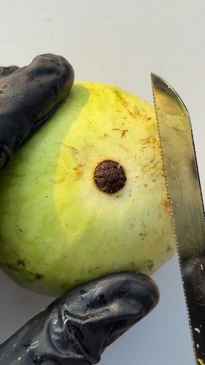 9.3K views · 12 reactions | Amazing fruit cutting design | Fruitninja007 | Facebook