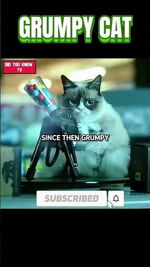Did you Remember Famous CAT "GRUMPY"?