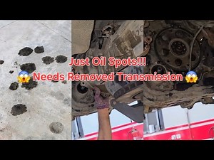 Crankshaft Main Seal Replacement Guide, Oil spot on the floor when parking #mechanic #repair