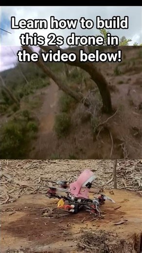 the easiest 2s 3inch toothpick build you can do this is how it flies