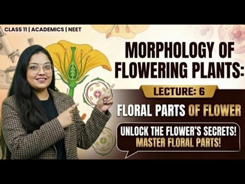Morphology of Flowering Plants i e Floral parts of Flower, Lecture-6