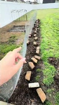 Revamping my backyard garden during spring break challenge! part 1️⃣