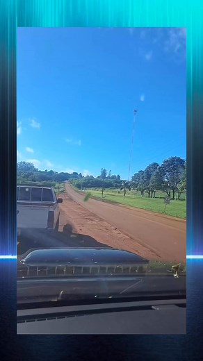 37K views · 748 reactions | Walking in trees in Mexico or is it something else? #theparanormalchic #walkingtrees #ent #bigfoot #mystery #paranormal #fyp | ParanormalLink | Facebook