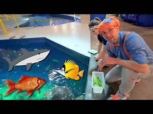 Blippi Visits the Aquarium