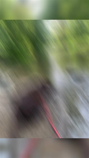 Chloe_Lab_Life (@chloe_lab_life)’s videos with original sound - Brody Wellmaker