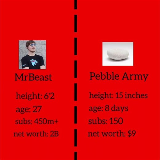 we can do it!! #shorts #pebble