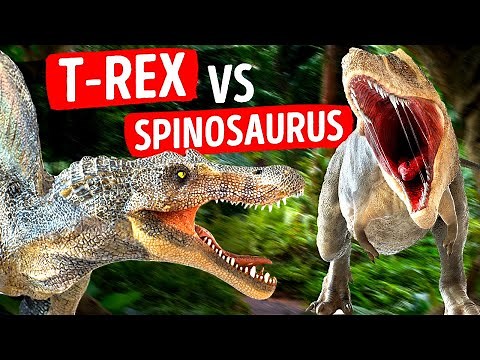 The King of the Land VS The King of the Water