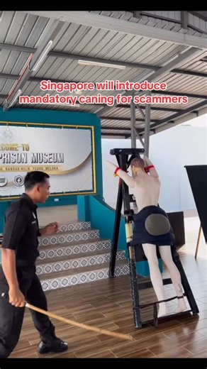 Asian Military Entertainment on Instagram: "Singapore will introduce mandatory caning for scammers, said Senior Minister of State for Home Affairs Sim Ann. Offenders will be punished with at least 6 strokes of the cane. DM/TAG us @asianmilitaryentertainment"