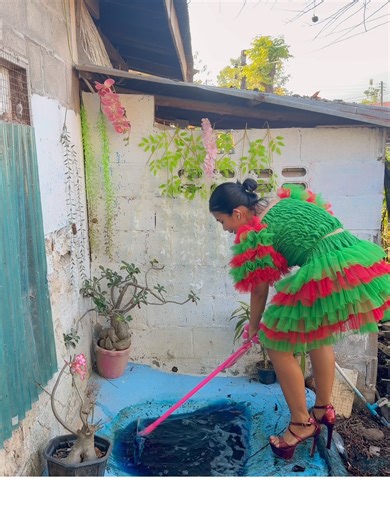 ทำความสะอาดบ้านให้สดใส