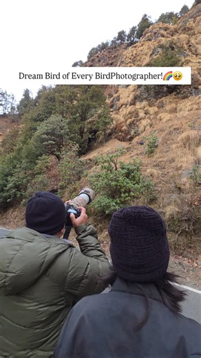 Quantum Explorer Inc on Instagram: "Join us at @quantumexplorerinc for birding tour and wildlife photography tours and witness these spectacular species in their natural habitat! (Sattal Birding Tour, Birdwatching Tours, Birds of Uttarakhand, Uttarakhand Birding, Birdwatchers, Bird Lovers, Bird Photography, Naturalist, Bird Guide, Wildlifephotographer, Wildlifephotography, Birding Tours, Nature Lovers, Himalayas, India, North India Birding Tours, Sattal, Chopta BirdPhotography, Pangot, Ranikhet,