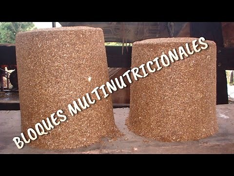 Aprende a elaborar Bloques Multinutricionales para tu ganado