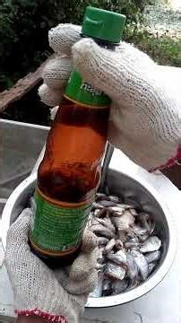 Here's a recipe for making and drying salted fish to take with you to Bangkok.