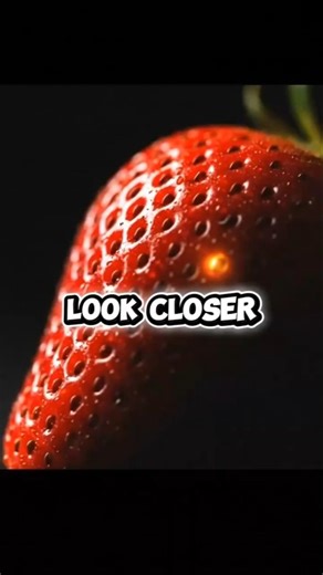 LOOK CLOSER #01 — This Fruit Isn’t What You Think