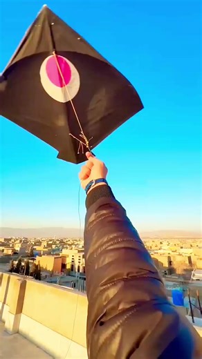 Best Kite Flying Tips and Tricks for Enthusiasts