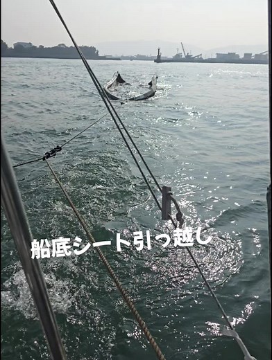 #まこと遊漁 #高速遊漁船 #引っ越し#船底シート