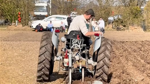 The little grey Fergie: A revolution in the field