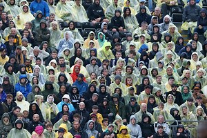 Wolves fans warned exciting new signing 'will frustrate' them