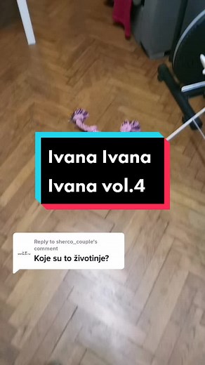 Reply to @sherco_couple #12_capica