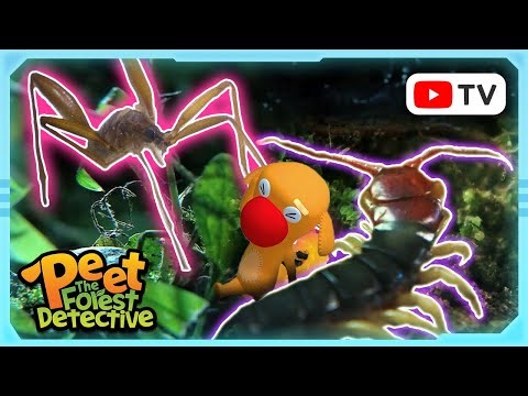 Justice Mission for the Forest Ants 🐜🌳 | Nature Stories For Kids | Peet The Forest Detective