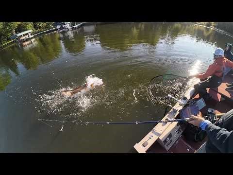 Musky Fishing Northern Wisconsin - 2025