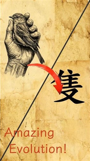 Why "Zhī" looks like a Bird in Hand 🐦