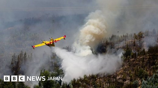 ポルトガル山火事で61人死亡　3日間の服喪 - BBCニュース