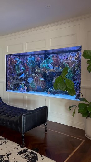 Luxury Custom Aquarium Designs for Your House