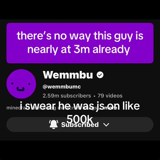 Mainstream Popularity in Minecraft