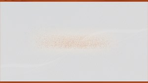 Zoo adventure. - Animated Video By Aiden Pearce - Mango Animate