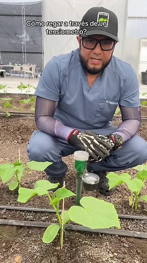 Cómo usar un tensiómetro en la agricultura