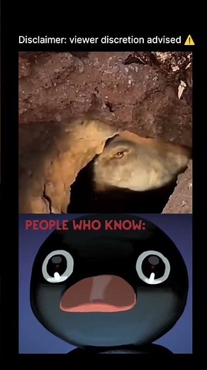 Be the Explanation guy and I'll pin your comment 👀