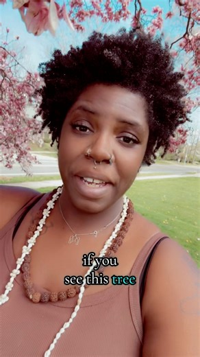 12 reactions · 3 comments | Used for over 2,000 years in Traditional...