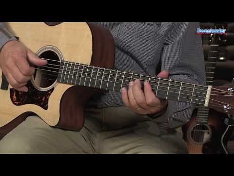Martin Performing Artist GPCPA4 Acoustic-electric Guitar Demo (Previous Version)