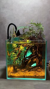 South American-style aquariums offer an immersive experience, transporting you to the Amazon River basin.#fishkeeper #aquascapes #aquascape #reelsfacebook #reelsinstagram😍 #fishtank #aquariumsupplies #aquariumlife #aquarium | A&Aqua Pro