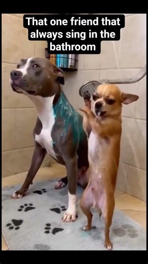 who is that one friend comes your mind after you watched this video#comedy #funny #goviral